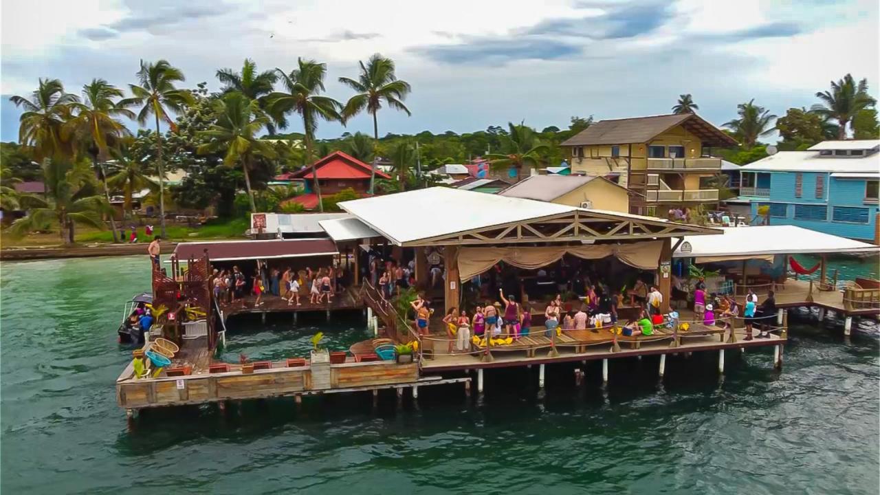 بيت شباب Aqua Lounge بوكاس تاون المظهر الخارجي الصورة